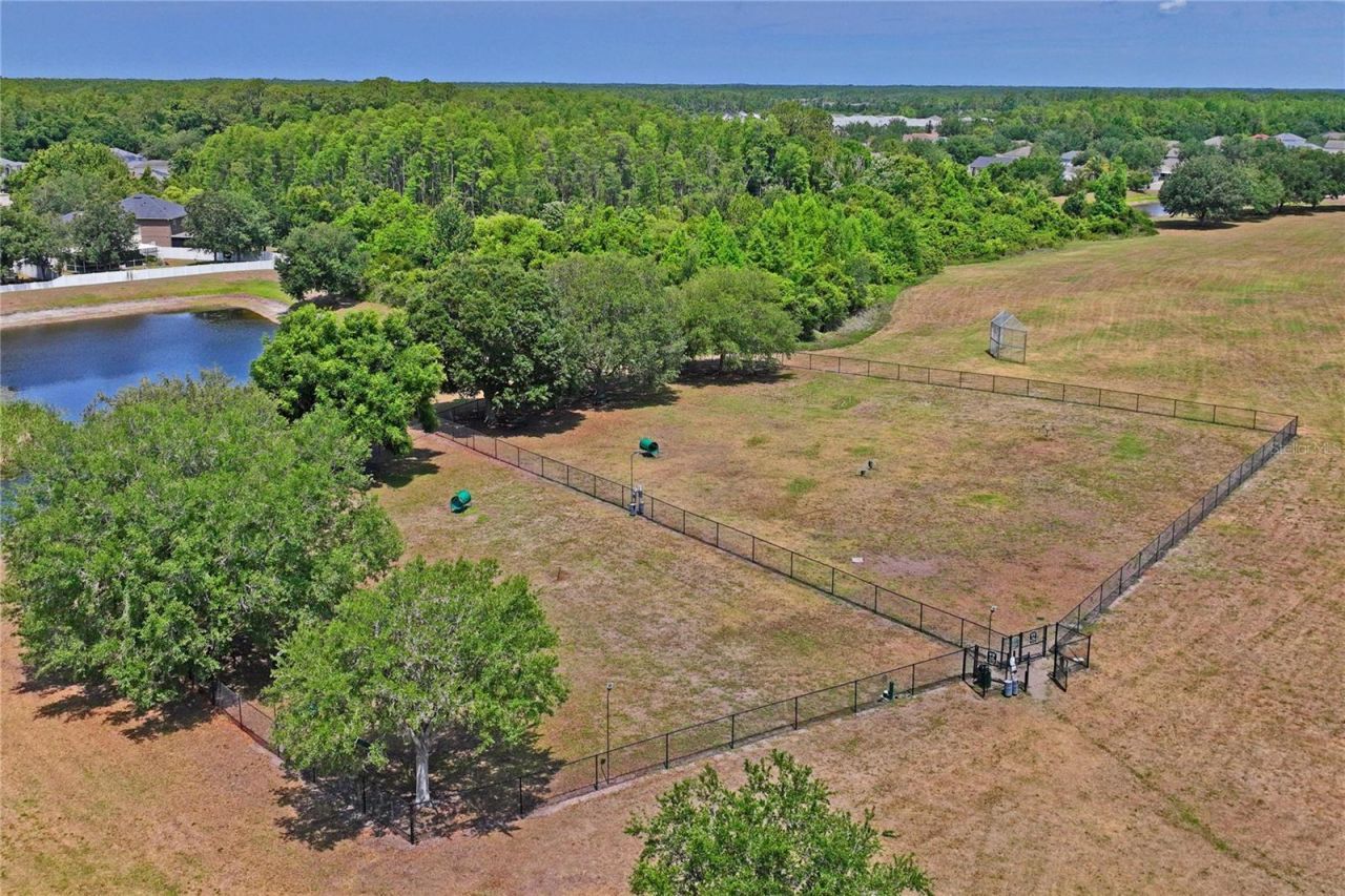 3533 Cardinal Feather Drive, Land O Lakes, FL 34638 Photo