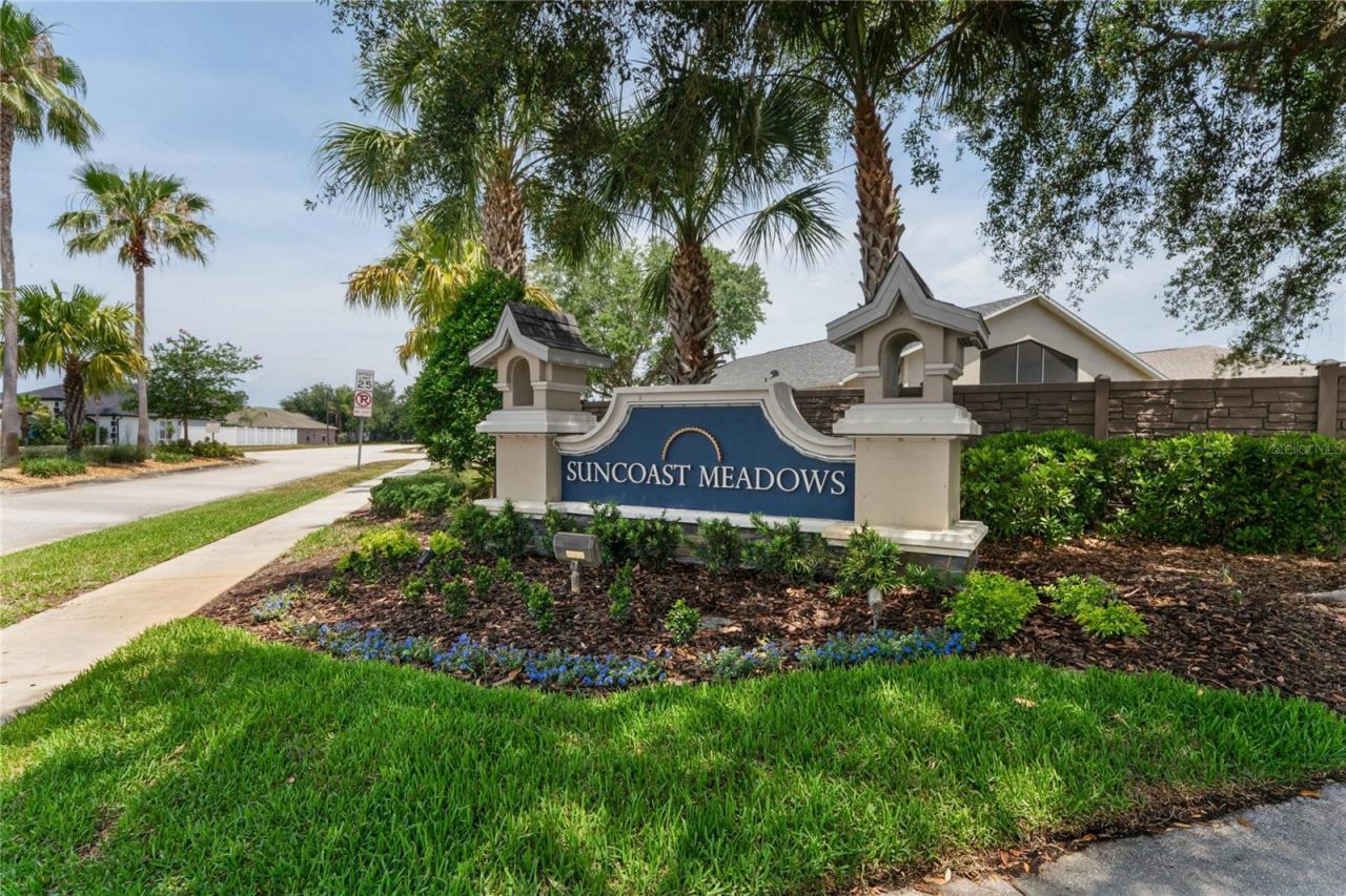 3533 Cardinal Feather Drive, Land O Lakes, FL 34638 Photo