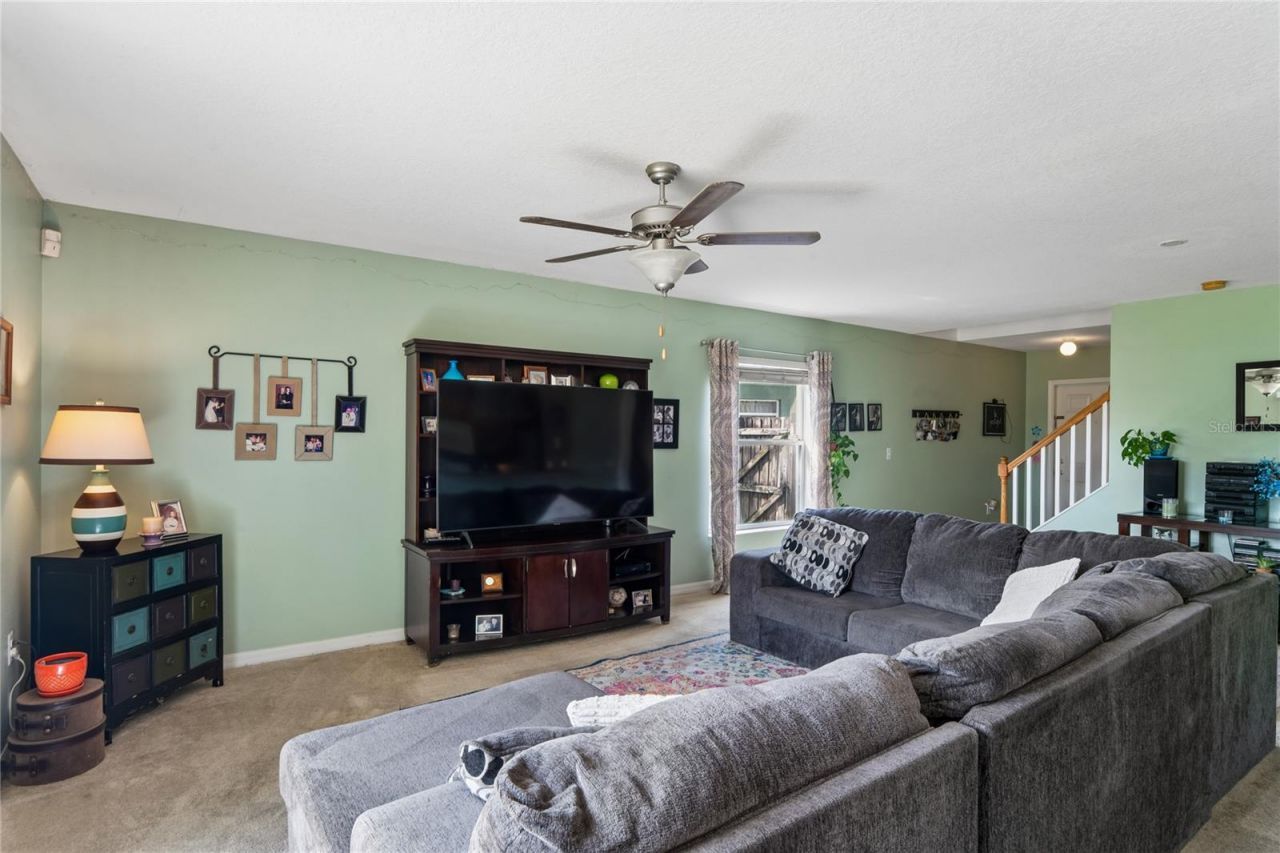3533 Cardinal Feather Drive, Land O Lakes, FL 34638 Photo