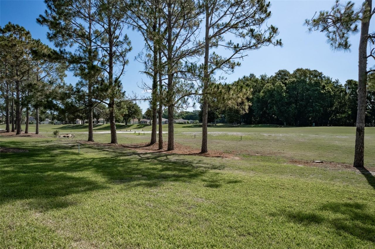 16023 SW 14th Avenue Road , Ocala, FL 34473 Photo
