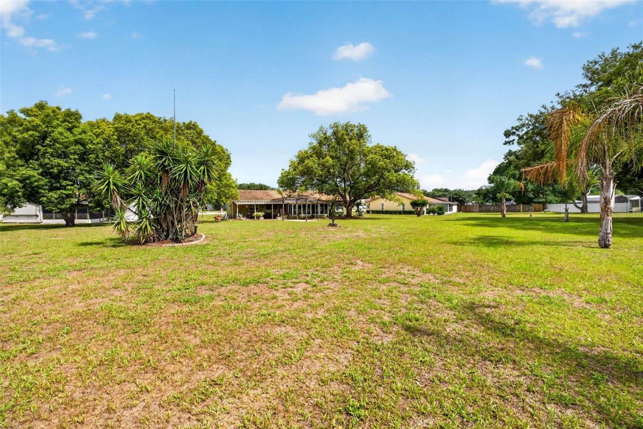8429 Jacqueline Court , Zephyrhills, FL 33541 Photo