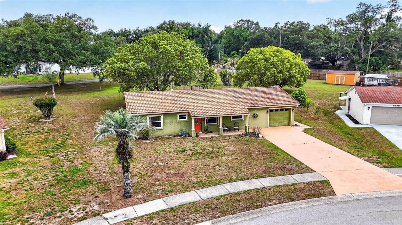 8429 Jacqueline Court , Zephyrhills, FL 33541 Photo