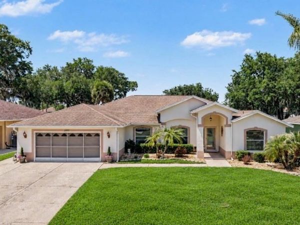 11132 MOSHIE LANE, SAN ANTONIO, FL 33576