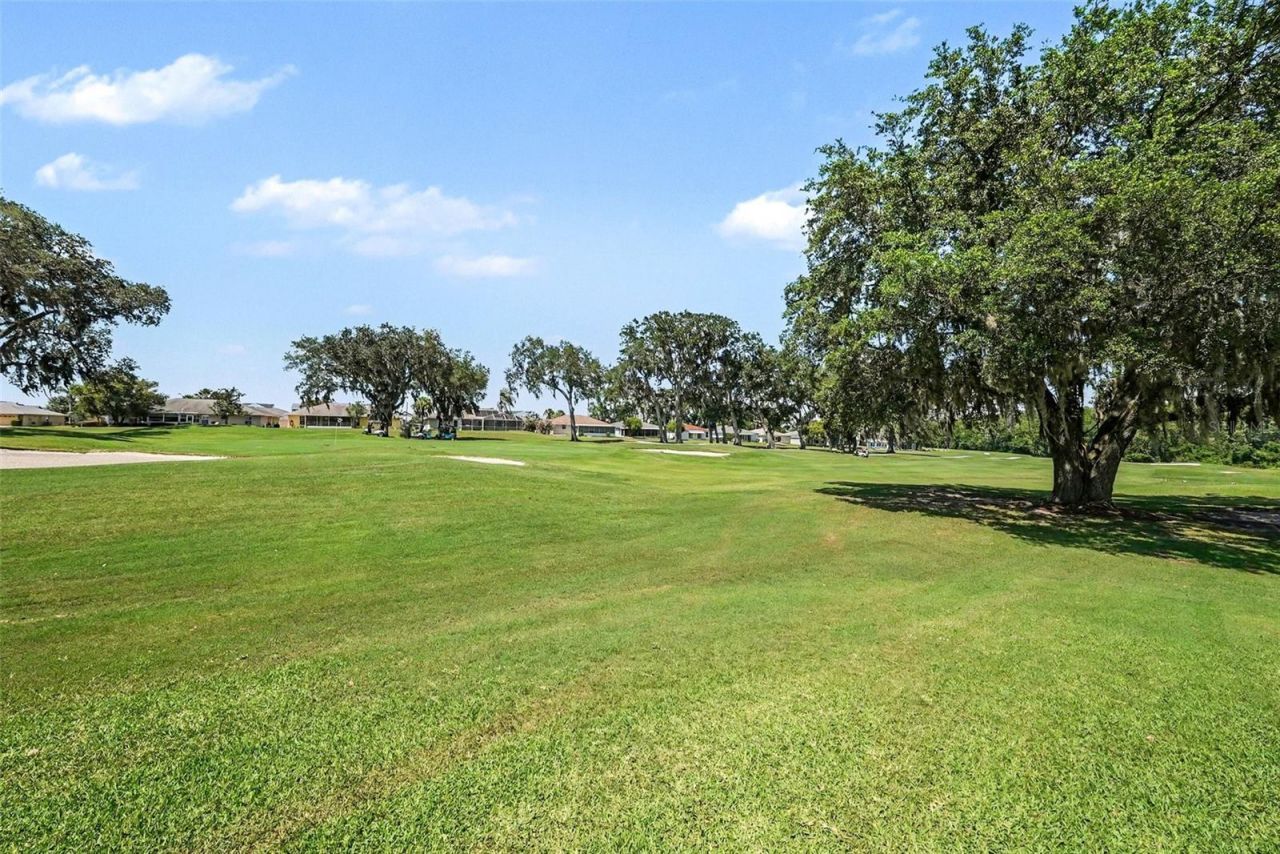 11132 Moshie Lane , San Antonio, FL 33576 Photo