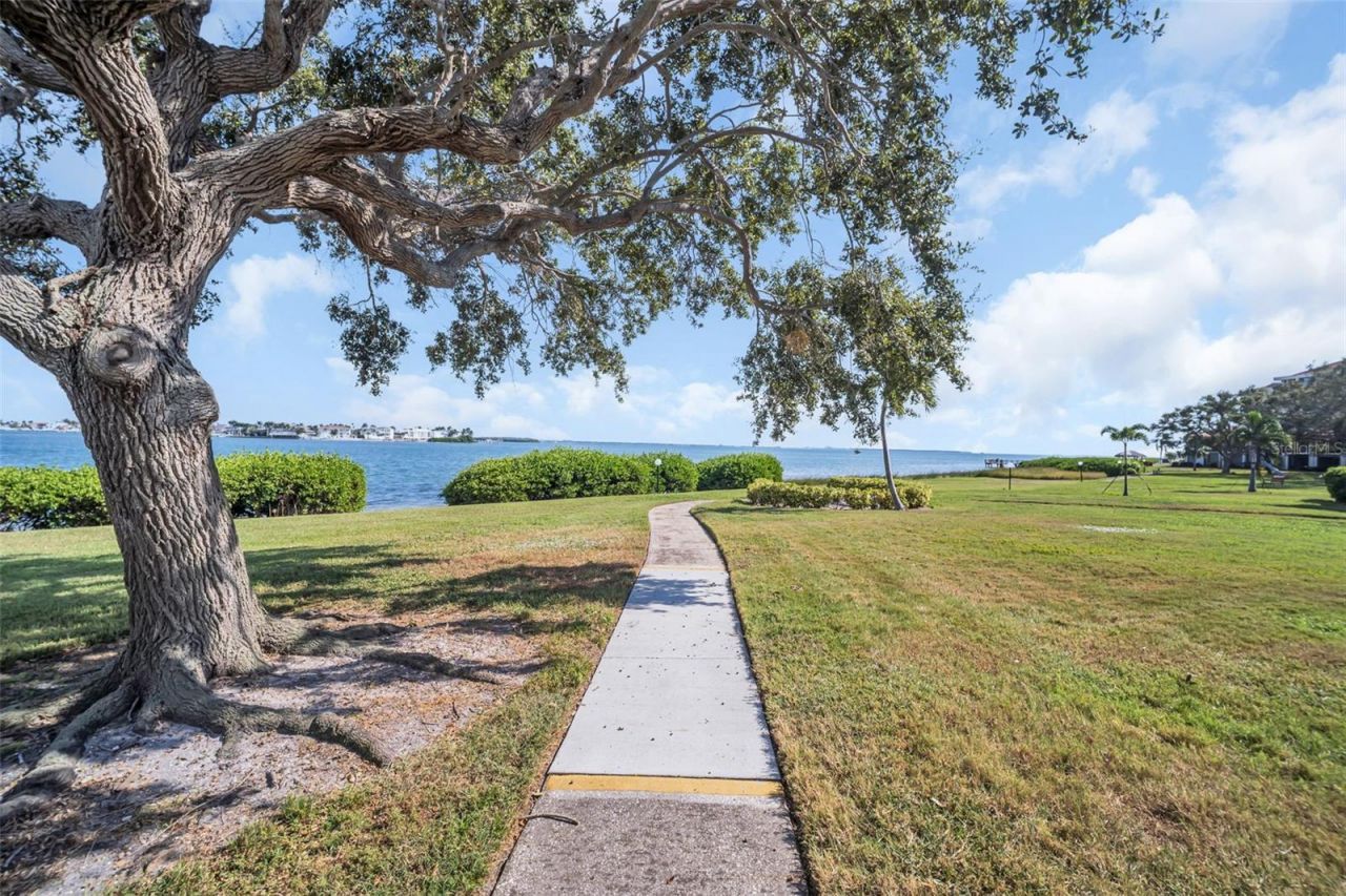 6158 Palma Del Mar So, Unit 505, Saint Petersburg, FL 33715 Photo