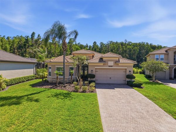 30852 SPRUCEBERRY COURT , WESLEY CHAPEL, FL 33543