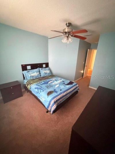 2491 Hassonite Street , Kissimmee, FL 34744 Photo