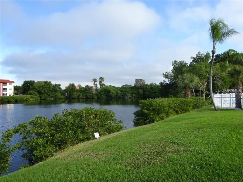 4570 Overlook Dr NE , Unit 283, Saint Petersburg, FL 33703 Photo