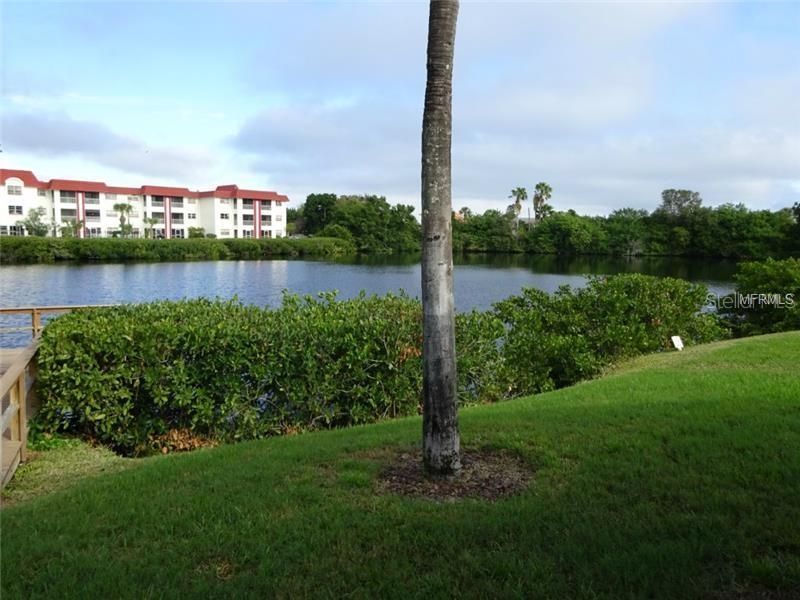 4570 Overlook Dr NE , Unit 283, Saint Petersburg, FL 33703 Photo