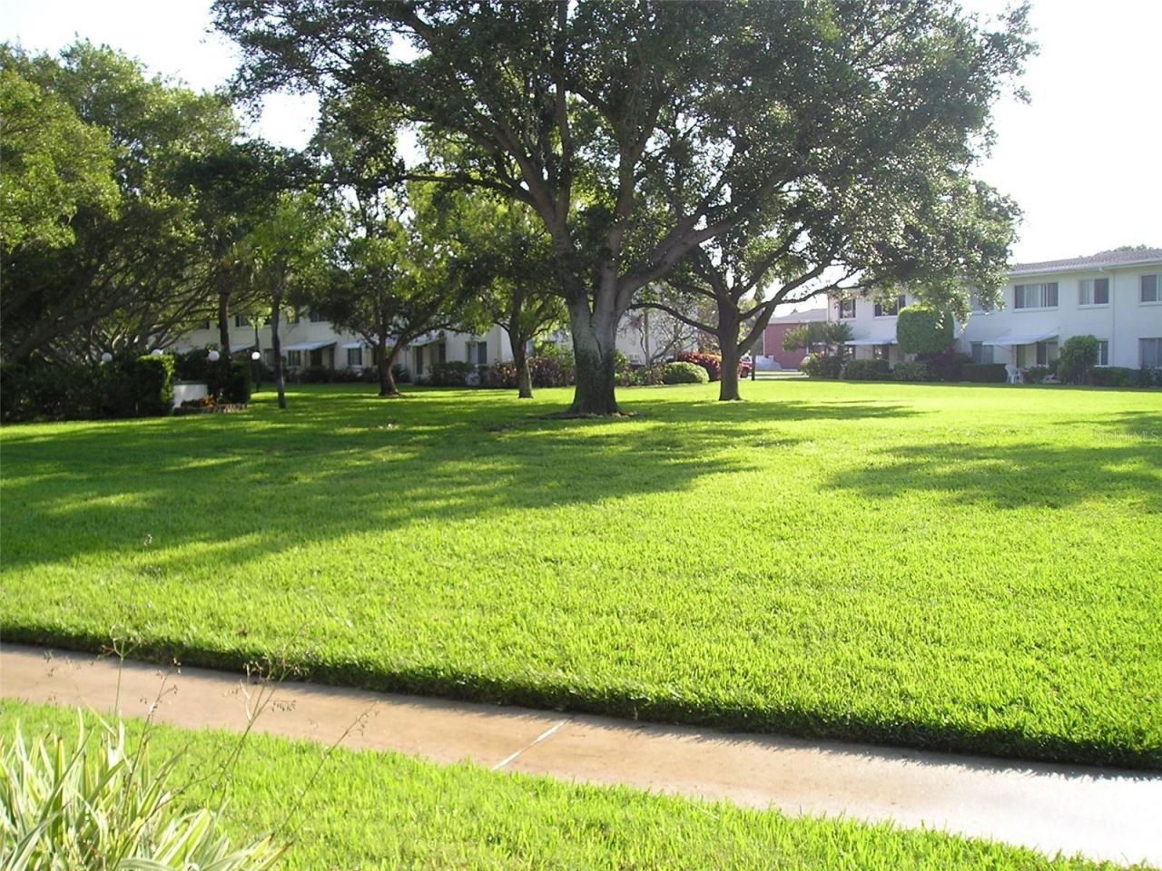 4570 Overlook Dr NE , Unit 283, Saint Petersburg, FL 33703 Photo