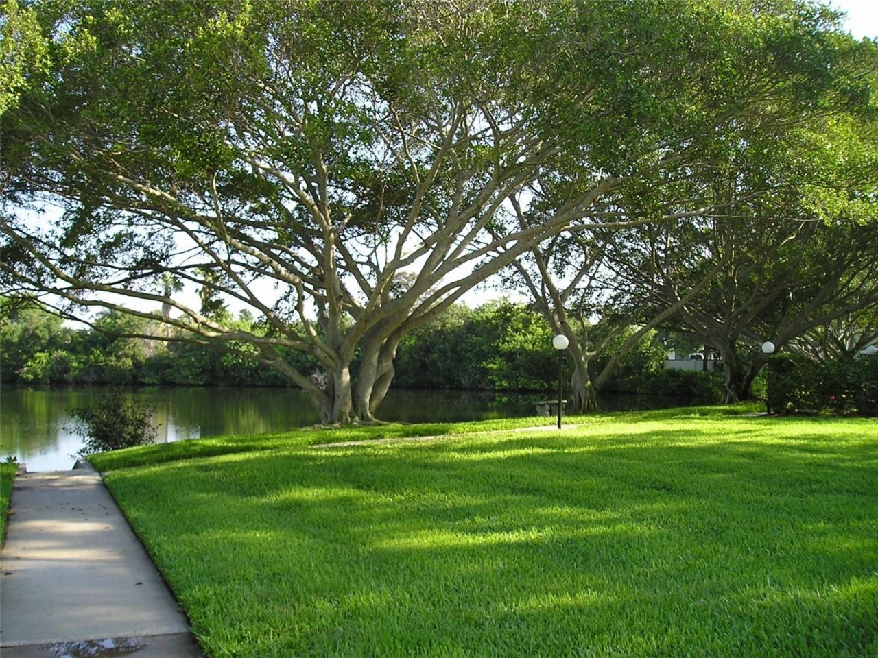4570 Overlook Dr NE , Unit 283, Saint Petersburg, FL 33703 Photo
