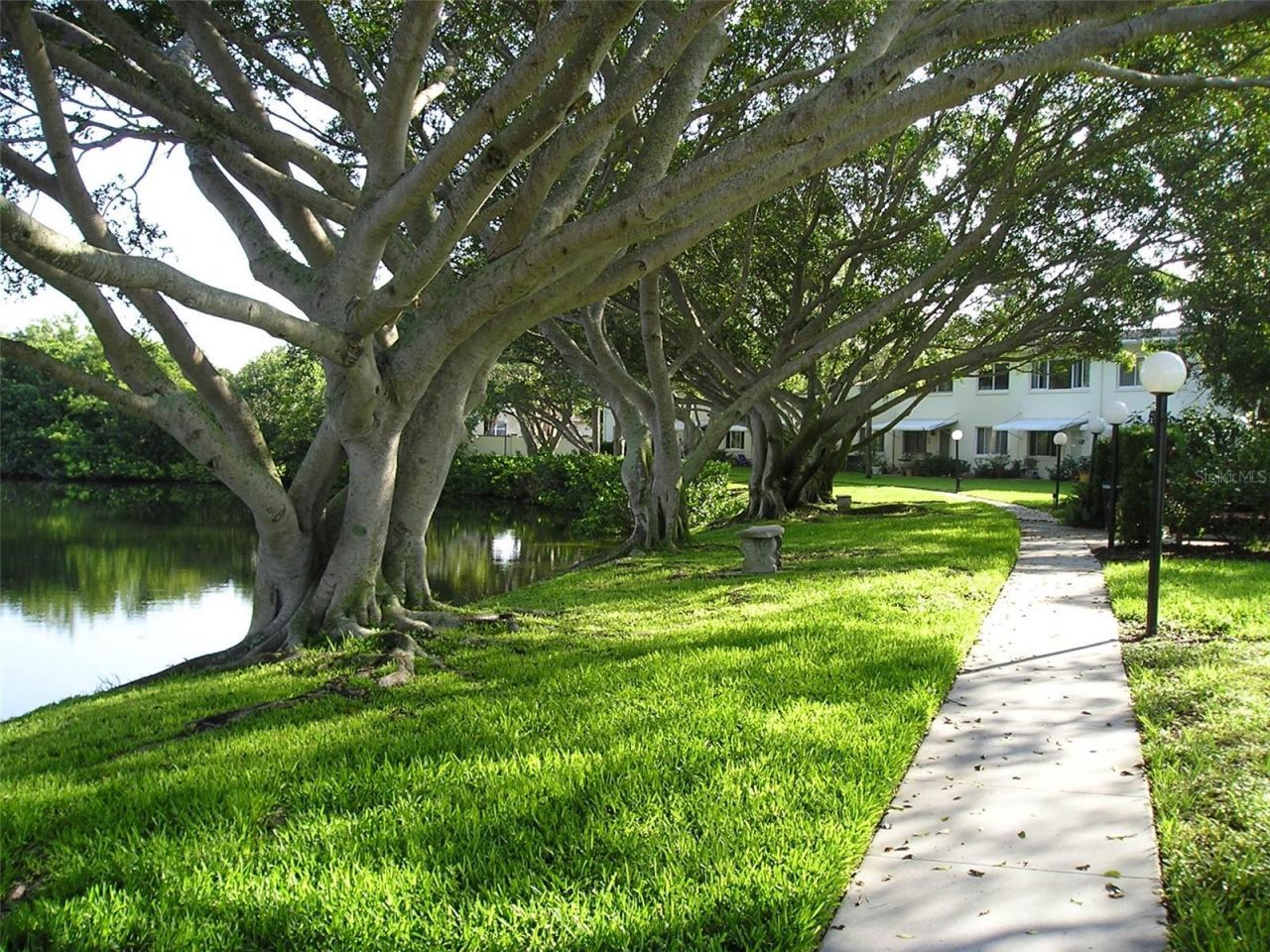 4570 Overlook Dr NE , Unit 283, Saint Petersburg, FL 33703 Photo