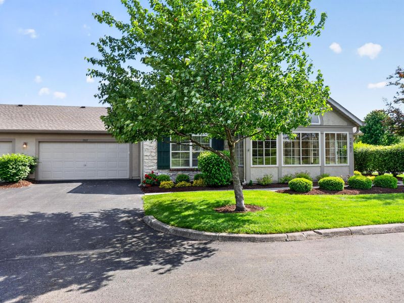 7667 Red Maple Place, Westerville, OH 43082 Photo 3