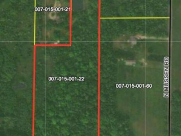 McBride Road NW, Stanton, MI 48888