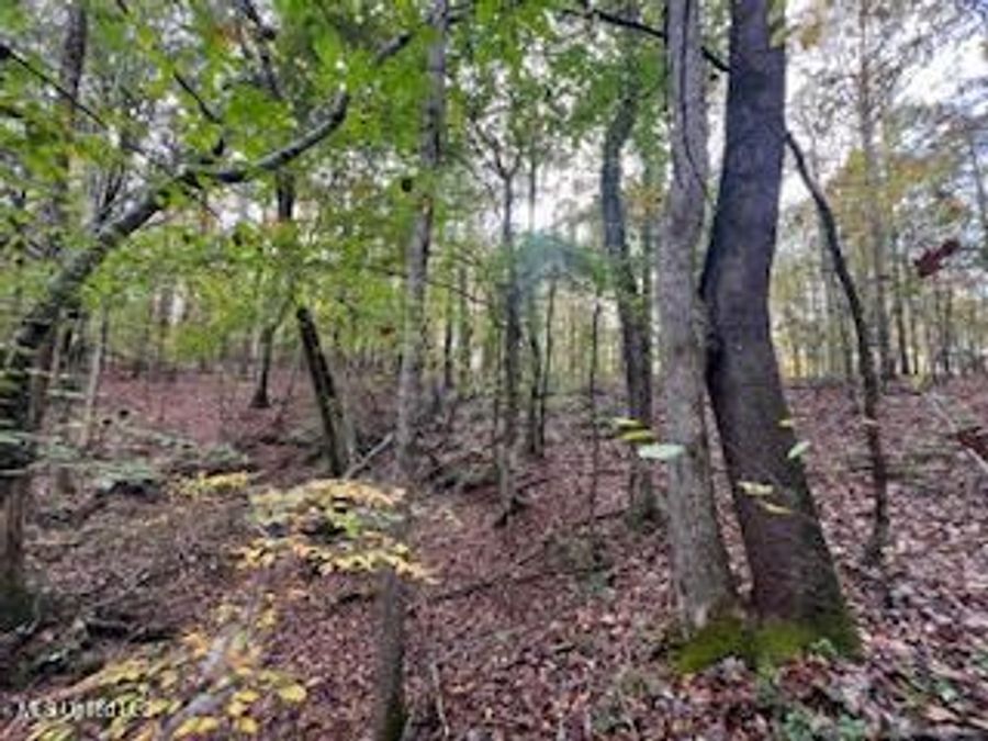 Property Image 21