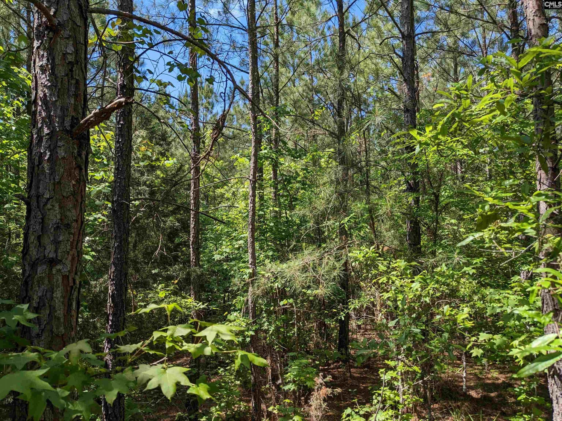 Jewel Drive  Photo 13