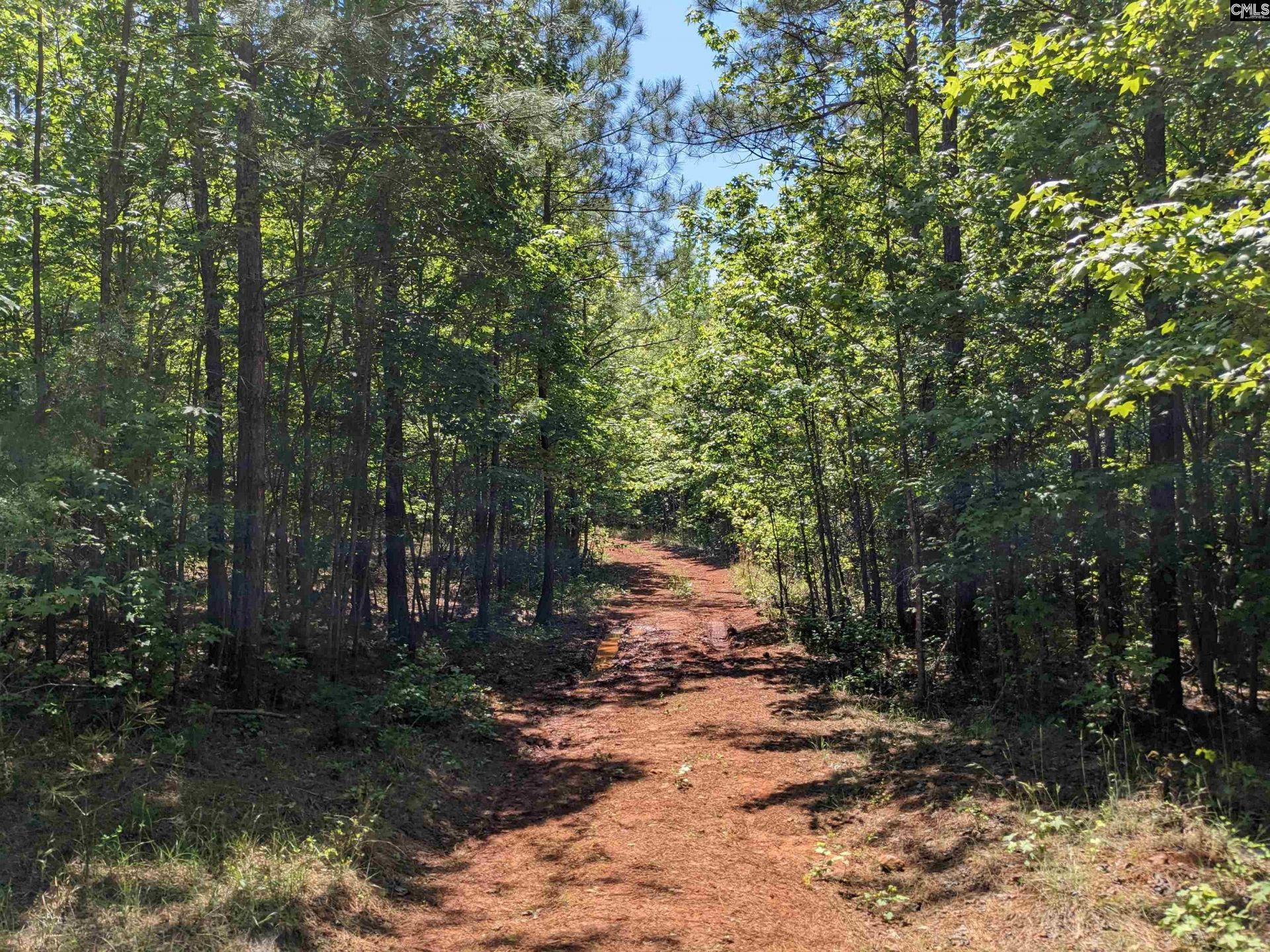 Jewel Drive  Photo 14
