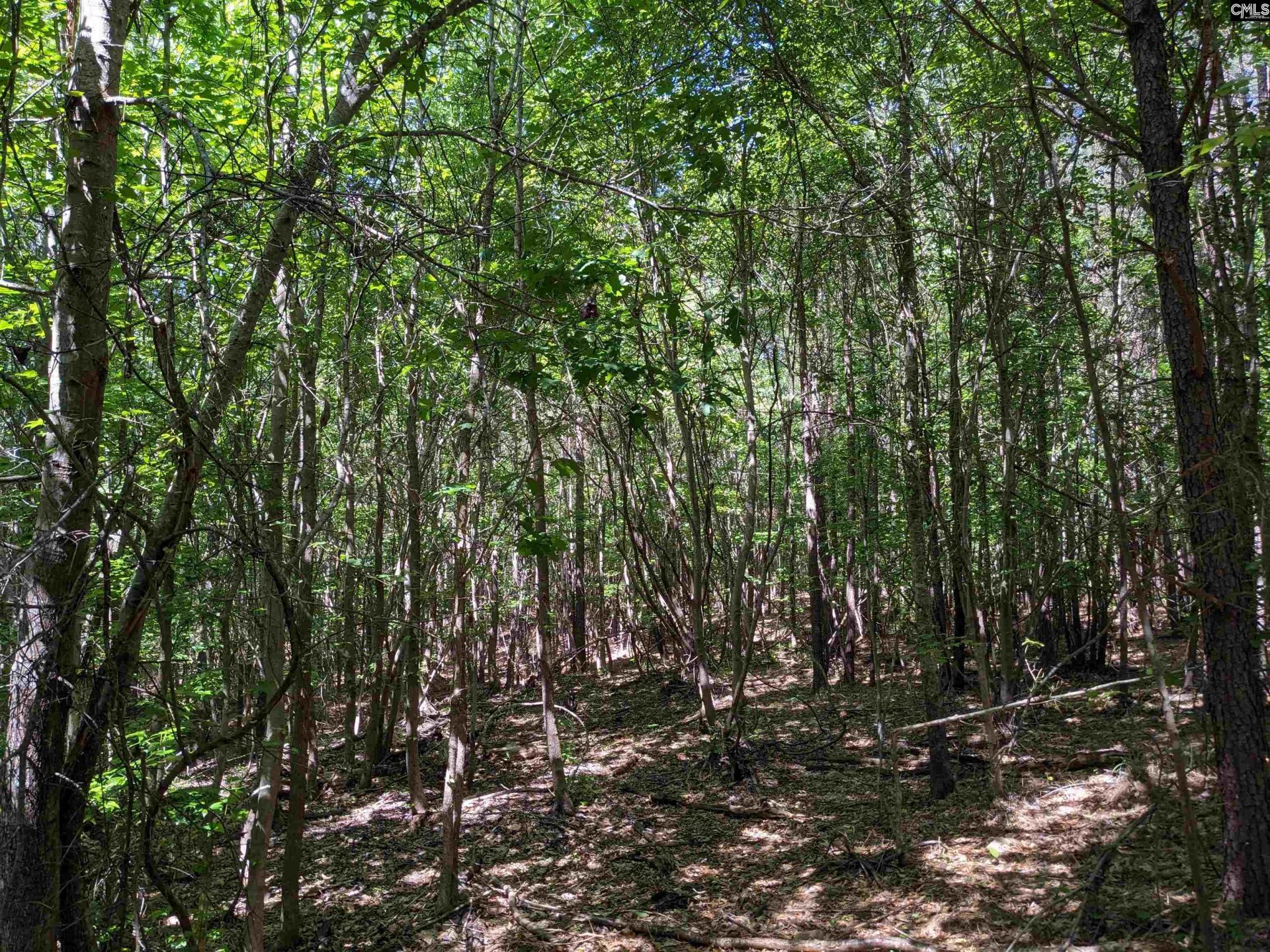 Jewel Drive  Photo 19