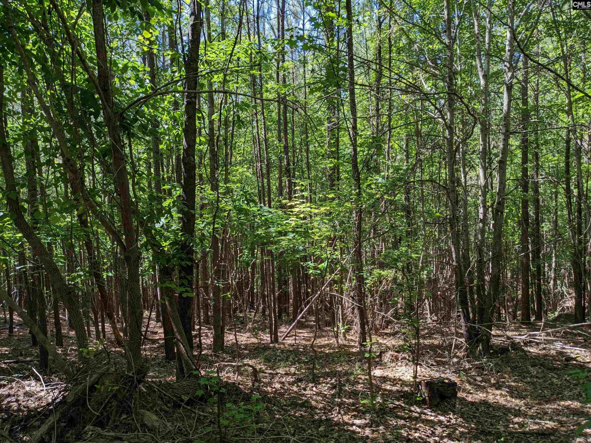 Jewel Drive  Photo 20