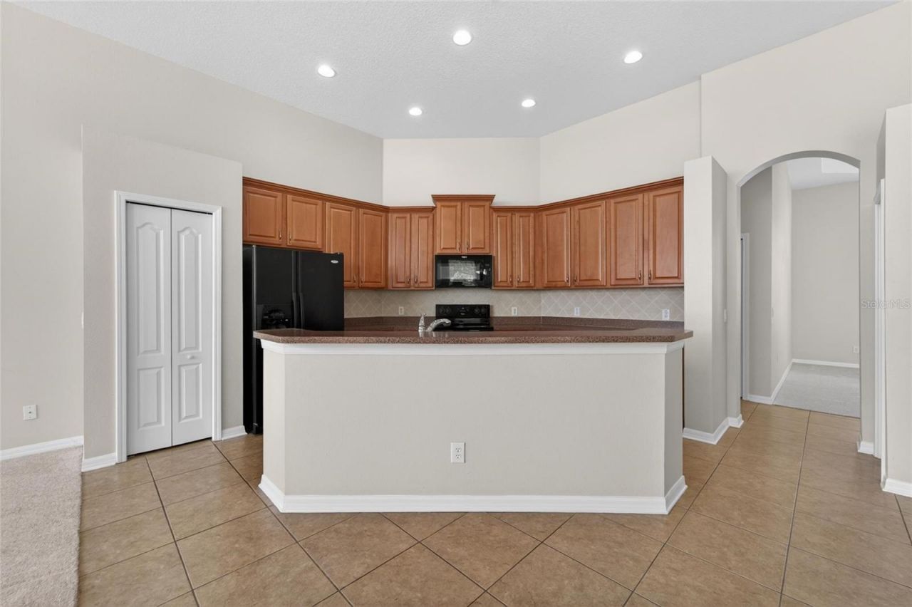 2309 Silver Trumpet Court , Valrico, FL 33594 Photo