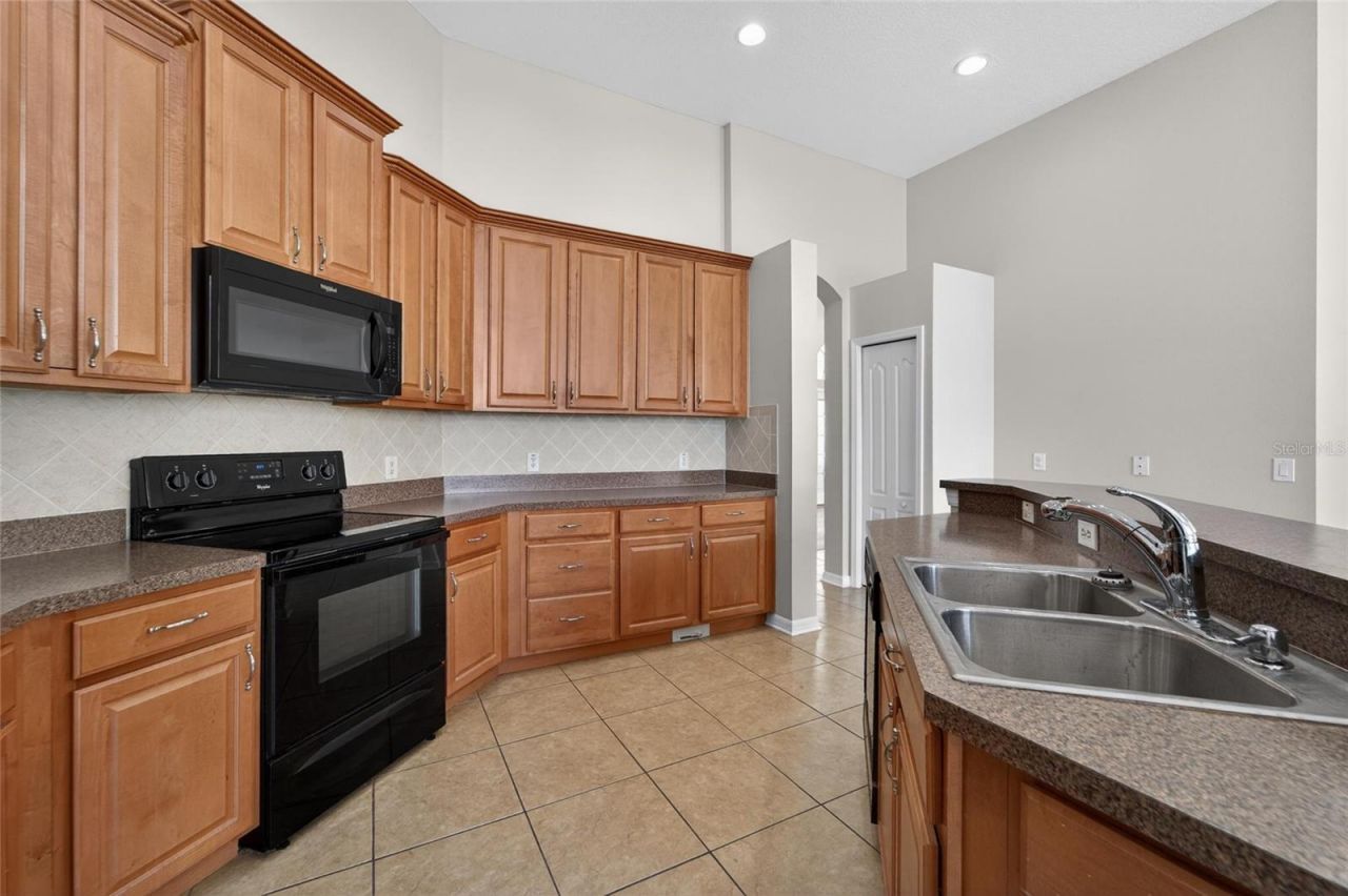 2309 Silver Trumpet Court , Valrico, FL 33594 Photo