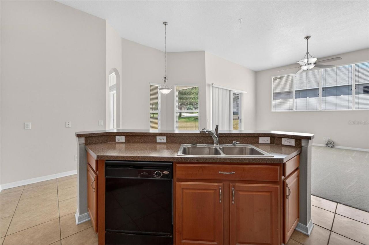 2309 Silver Trumpet Court , Valrico, FL 33594 Photo