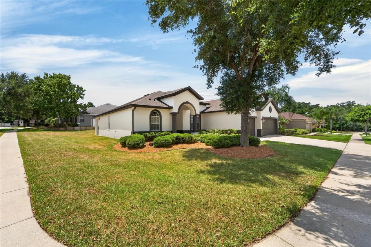 2309 Silver Trumpet Court , Valrico, FL 33594 Photo