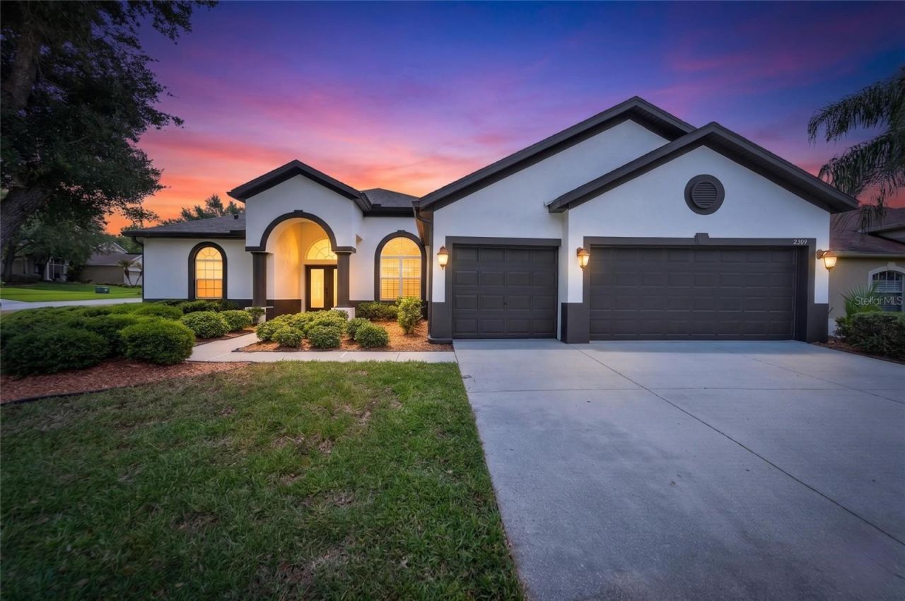 2309 Silver Trumpet Court , Valrico, FL 33594 Photo