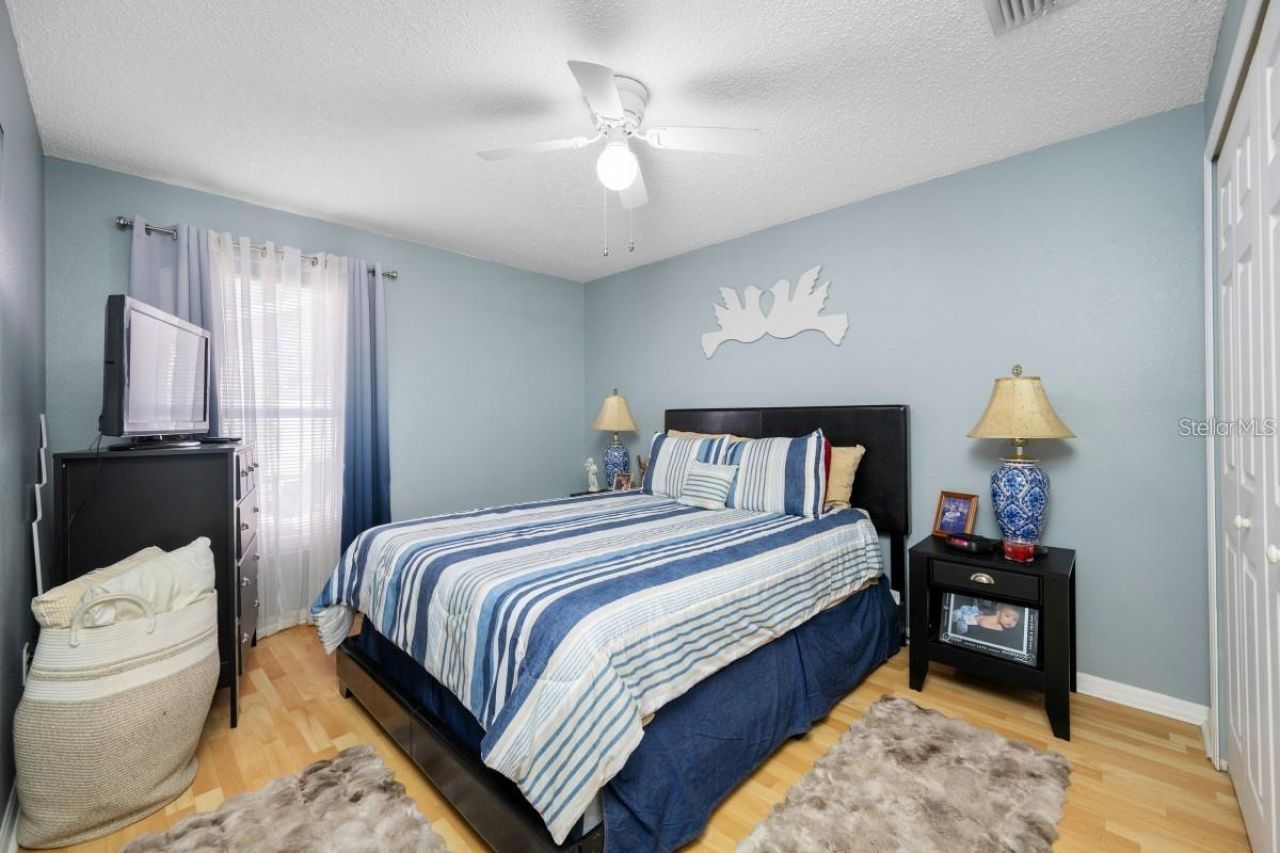 13132 Carrollwood Creek Drive, Tampa, FL 33624 Photo