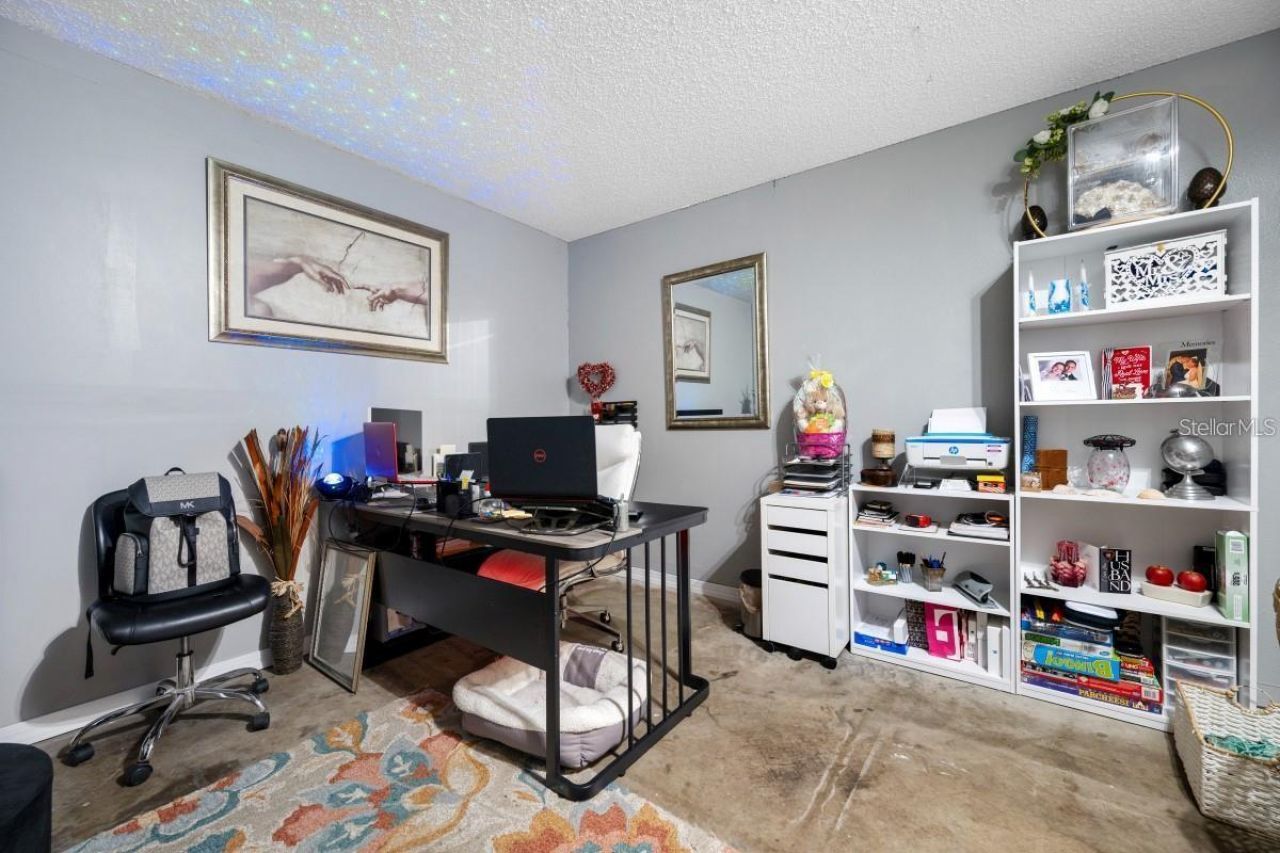 13132 Carrollwood Creek Drive, Tampa, FL 33624 Photo