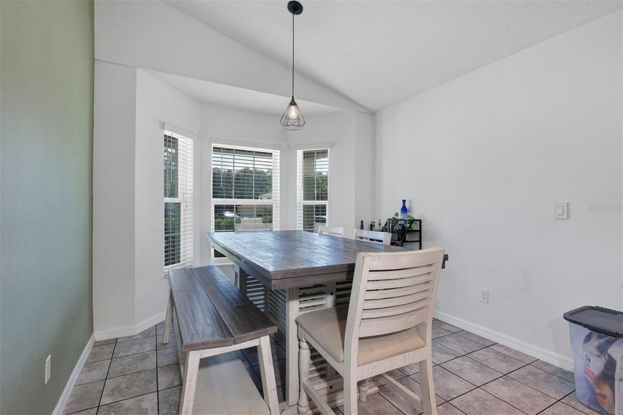 1520 Baywood Village Court, Mount Dora, FL 32757 Photo