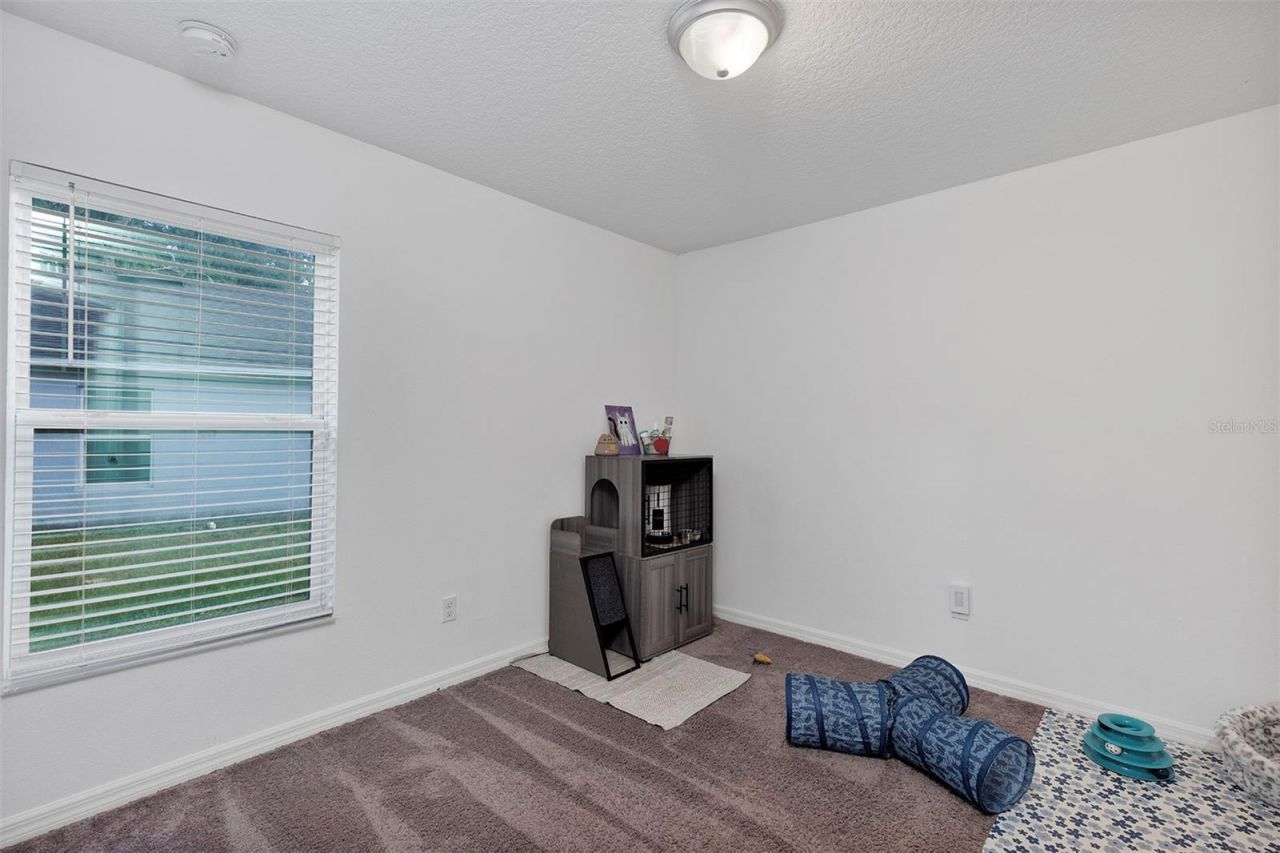 1520 Baywood Village Court, Mount Dora, FL 32757 Photo
