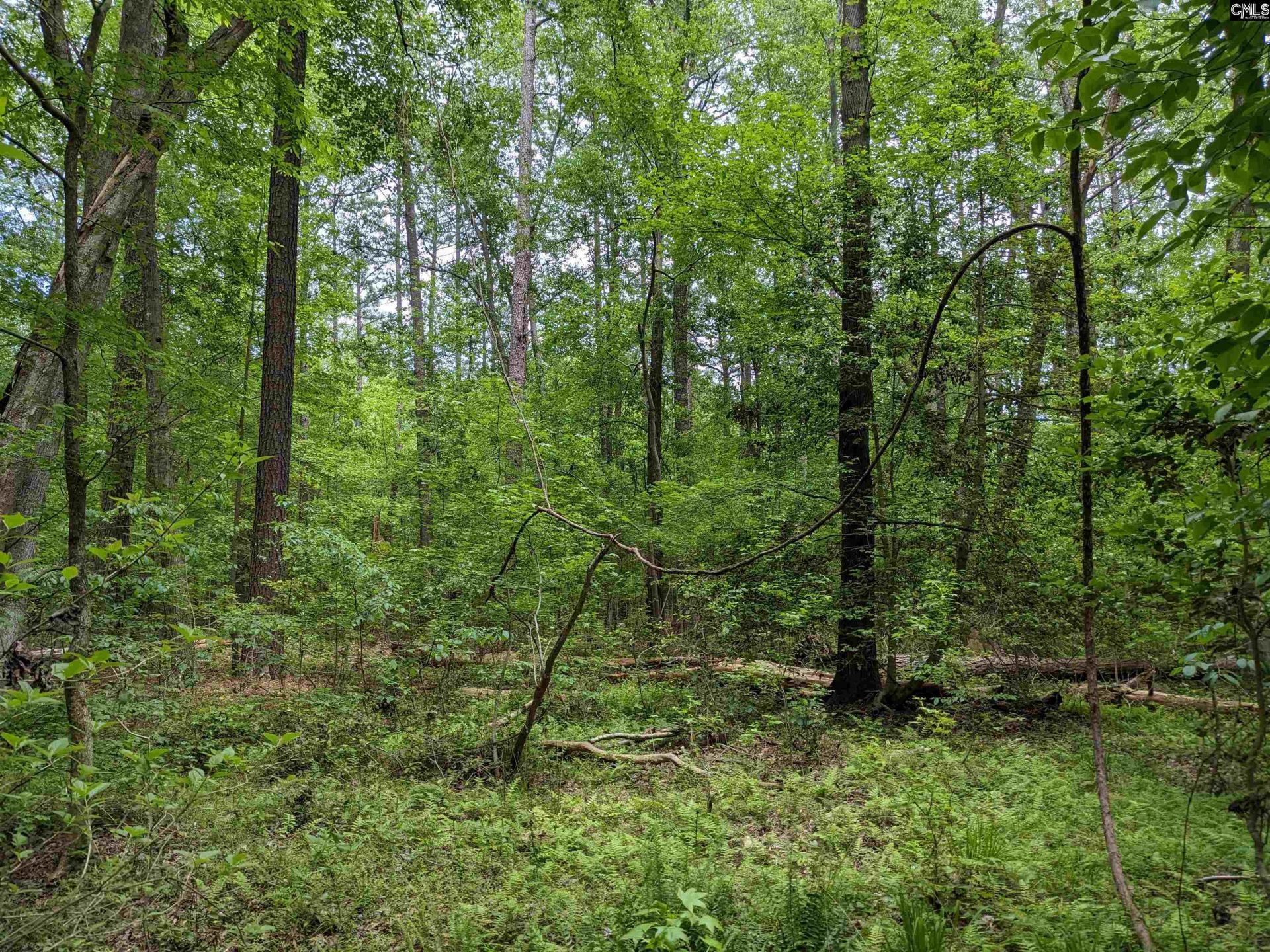 Syrup Mill Road  Photo 15