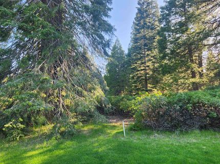417 Dinsmore Drive, Lake Almanor, CA 96137 Photo