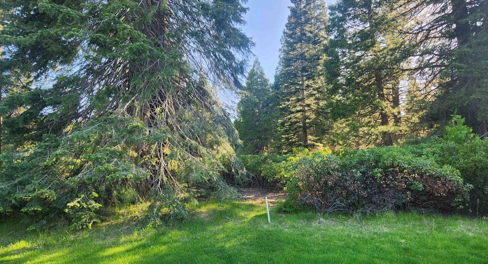 417 Dinsmore Drive, Lake Almanor, CA 96137 Photo
