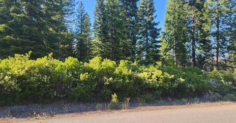 417 Dinsmore Drive, Lake Almanor, CA 96137 Photo