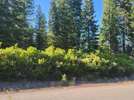 417 Dinsmore Drive, Lake Almanor, CA 96137 Photo