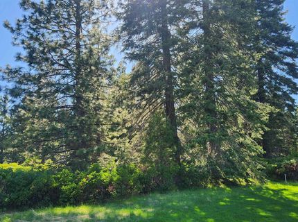 417 Dinsmore Drive, Lake Almanor, CA 96137 Photo