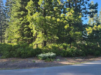 417 Dinsmore Drive, Lake Almanor, CA 96137 Photo