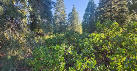417 Dinsmore Drive, Lake Almanor, CA 96137 Photo