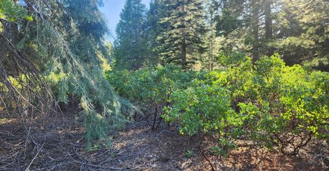 417 Dinsmore Drive, Lake Almanor, CA 96137 Photo