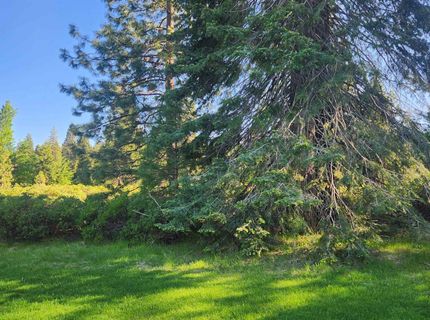 417 Dinsmore Drive, Lake Almanor, CA 96137 Photo