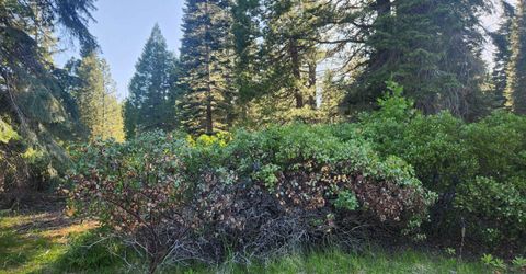 417 Dinsmore Drive, Lake Almanor, CA 96137 Photo