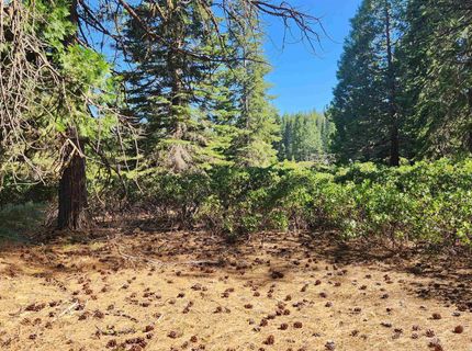 417 Dinsmore Drive, Lake Almanor, CA 96137 Photo