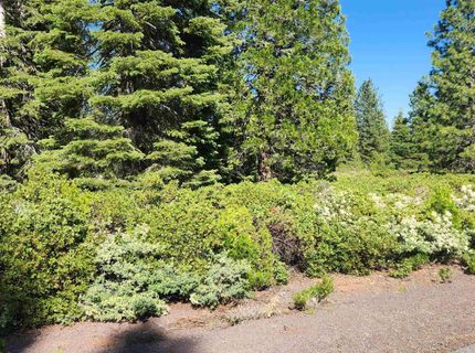 417 Dinsmore Drive, Lake Almanor, CA 96137 Photo