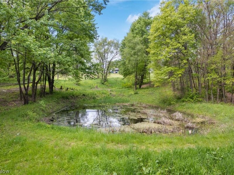 15375 Calaboone Road, Doylestown, OH 44230 Photo 39