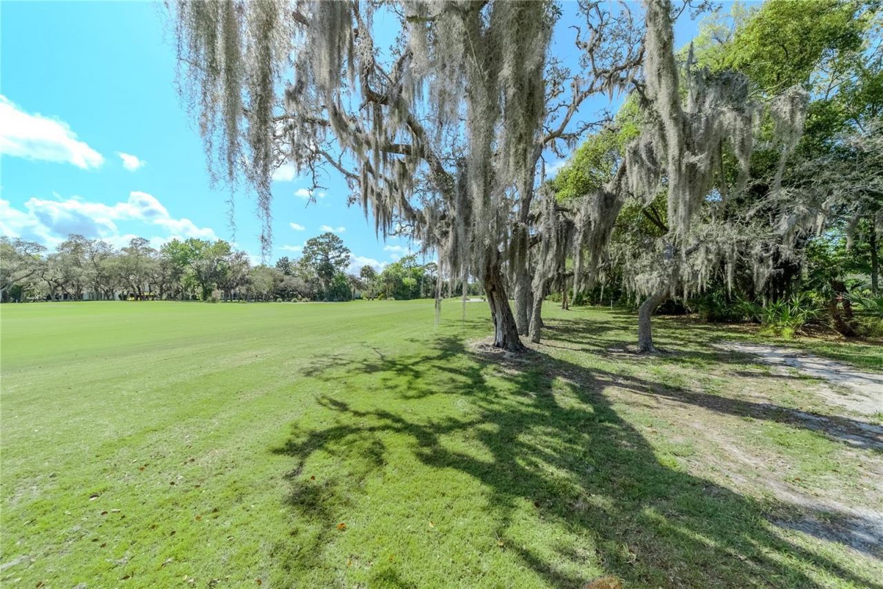 550 Bottlebrush Court , New Smyrna Beach, FL 32168 Photo