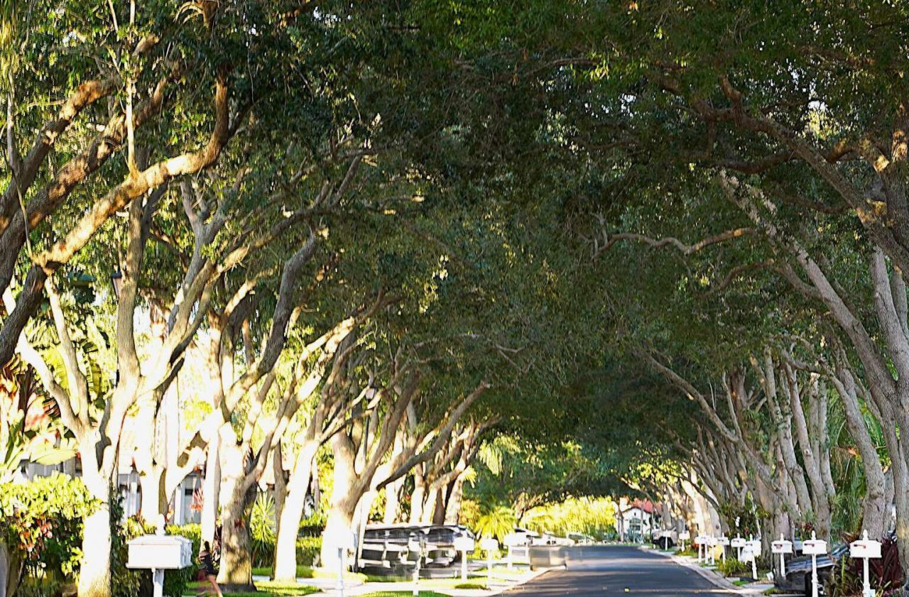 8088 Vía Di Veneto, Boca Raton, FL 33496 Photo