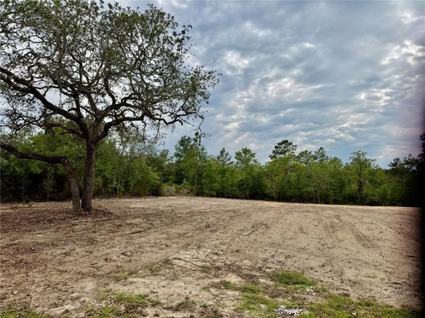 TBD NE 105TH AVENUE, BRONSON, FL 32621