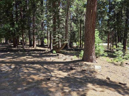 520 Ponderosa Way, Lake Almanor, CA 96137 Photo